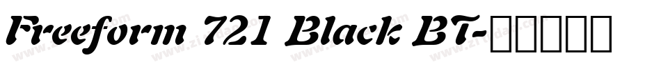 Freeform 721 Black BT字体转换